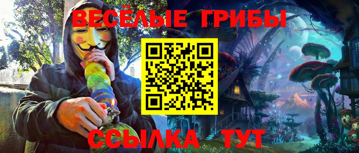 Псилоцибиновые грибы мухоморы Великий Новгород
